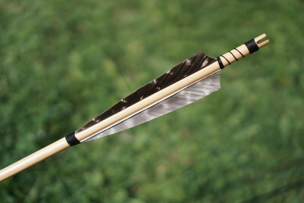 A detailed view of a traditional arrow with feather fletching against a blurred green background.